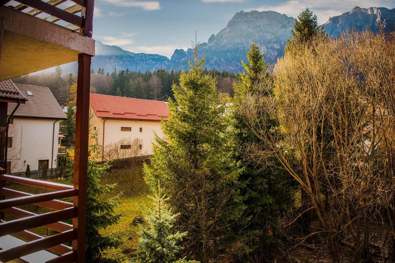 Casa Maia Hotel Busteni Bagian luar foto