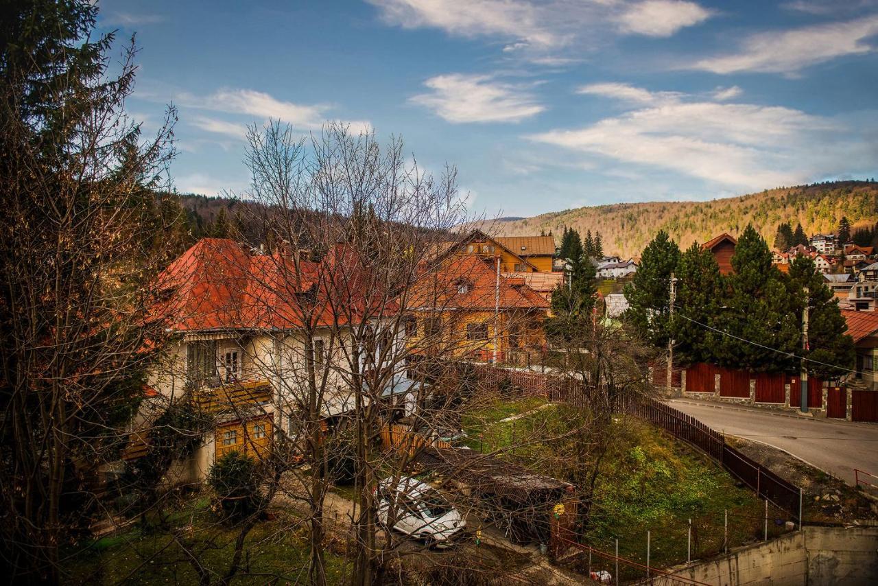 Casa Maia Hotel Busteni Bagian luar foto