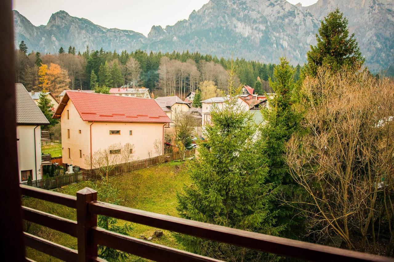 Casa Maia Hotel Busteni Bagian luar foto