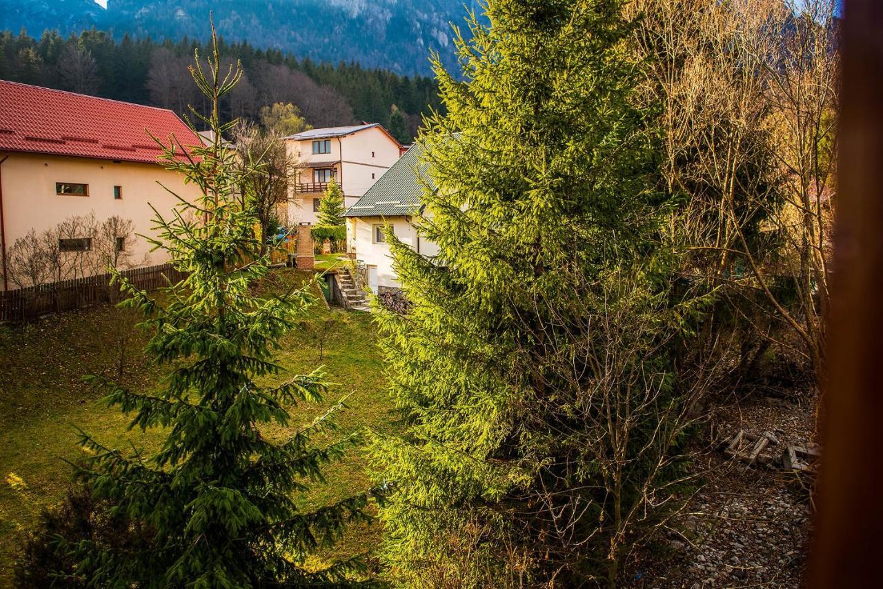 Casa Maia Hotel Busteni Bagian luar foto
