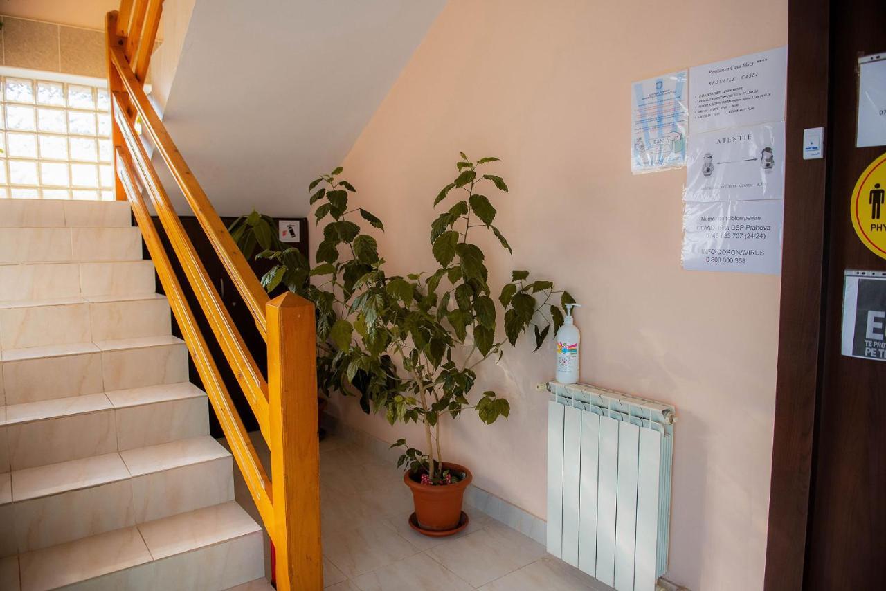 Casa Maia Hotel Busteni Bagian luar foto